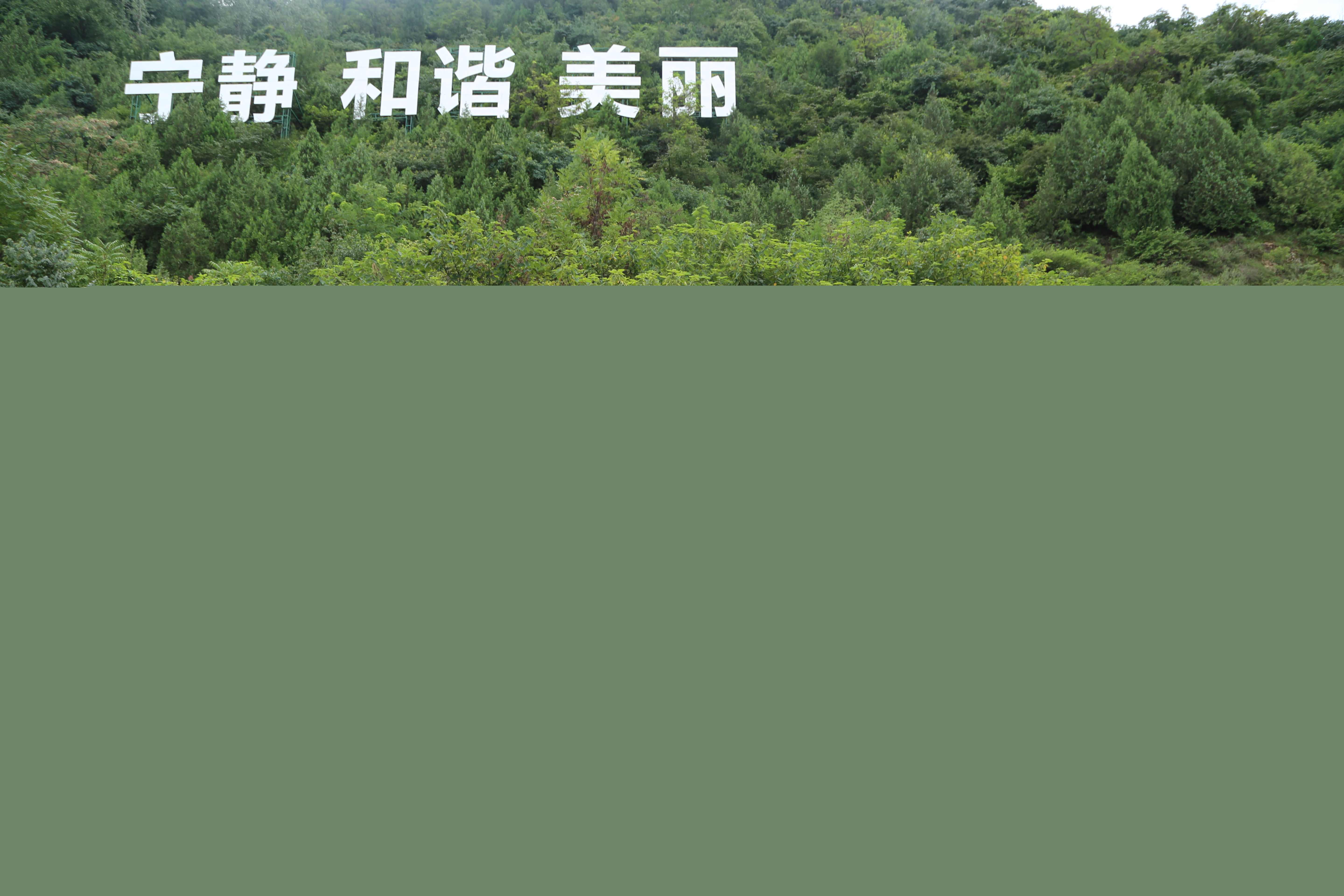 1722565382036023506.jpg 5.在西安市鄠邑區秦嶺保護站合影.jpg