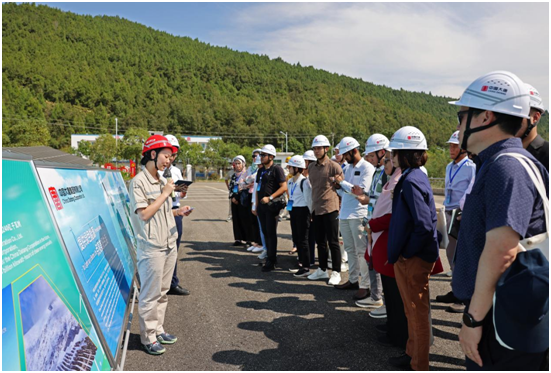 1728709139517042402.png 72b36e8a378749a3a9d56f05f4c512f4.png