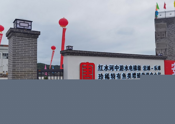 1626310228356030007.jpg 養魚2.jpg