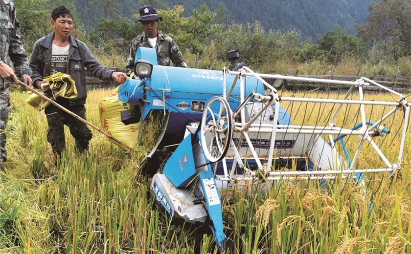 1627293882125008369.jpg 5.jpg